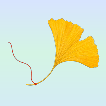 SuiJi Notes app icon